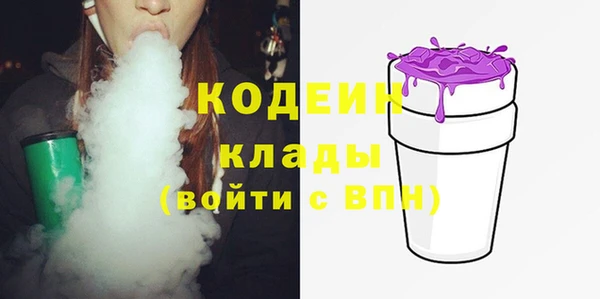 индика Надым