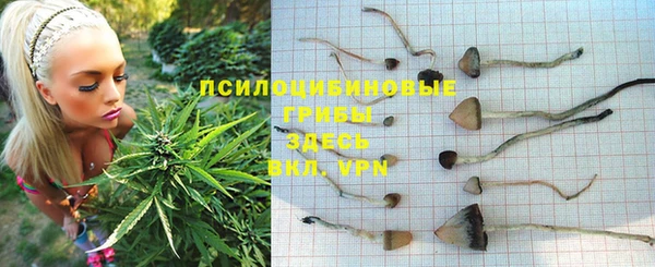 PSILOCYBIN Наволоки