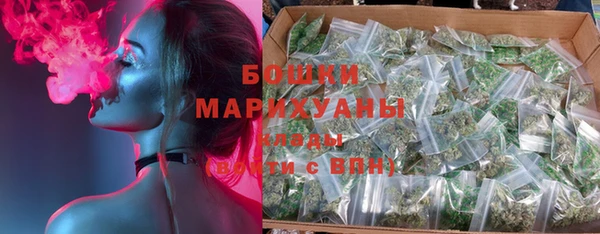 индика Надым