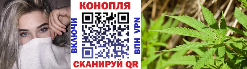 KRAKEN рабочий сайт  магазин продажи   Приволжск  МАРИХУАНА сатива 